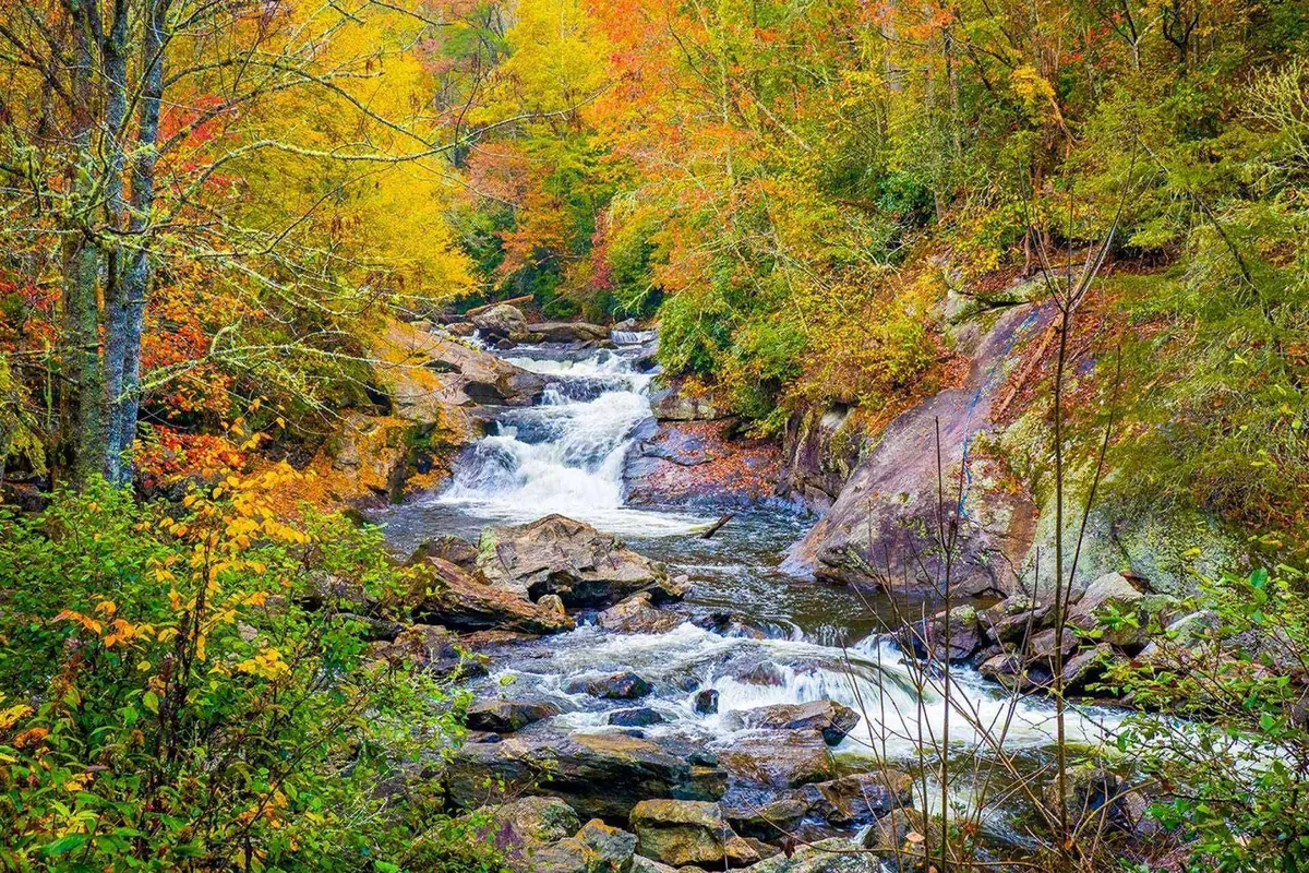 This image showcases an inviting exterior scene with flowing water, colorful foliage, and natural rock formations. The vibrant landscape evokes a sense of relaxation and outdoor allure, highlighting the appeal of the surrounding area.